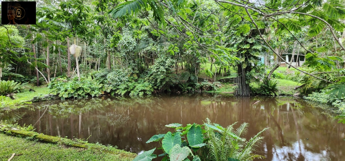 Chácara em , São Roque - Foto 29